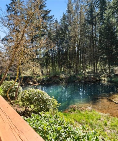 21825 S Lewellen Rd, Beavercreek, OR