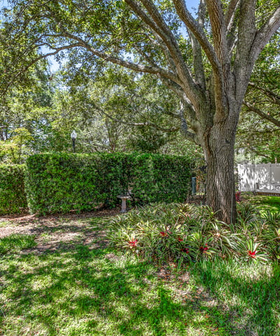 33441 Irongate Drive, Leesburg, FL