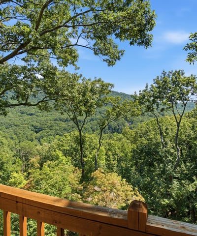 676 Alpine Drive, Jasper, GA