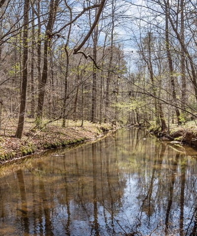 825 Oxbow Crossing, Chapel Hill, NC