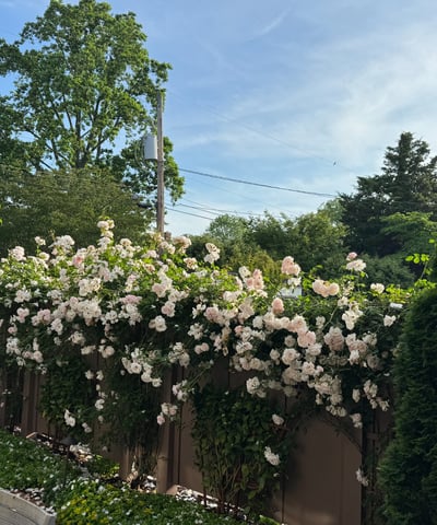 203 E. Chew Avenue, St. Michaels, MD