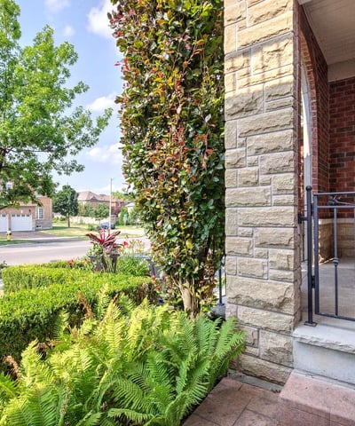 199 Ivy Glen Dr, Vaughan, ON