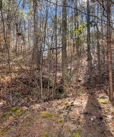6377 Barker Station Walk, Sugar Hill, GA