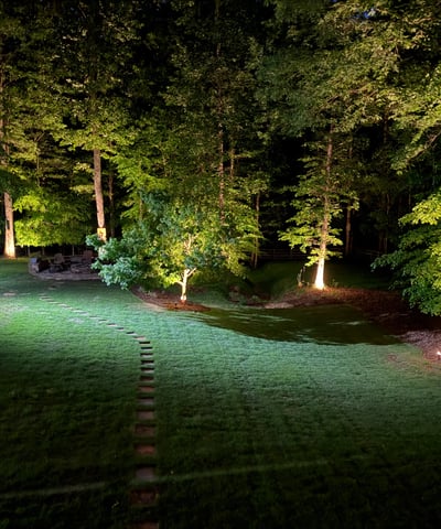 Discover a beautifully illuminated backyard featuring lush greenery and scenic pathways, perfect for evening gatherings.