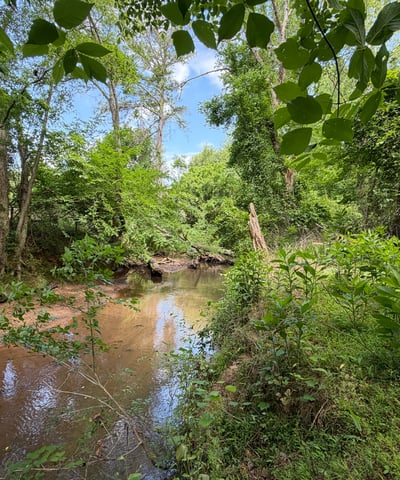Lush greenery surrounds this peaceful creek, offering a natural retreat and prime opportunity for outdoor activities.