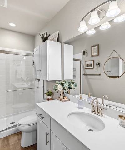 Basement Bathroom