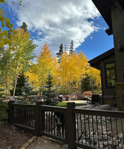 240 Game Trail Road, Silverthorne, CO