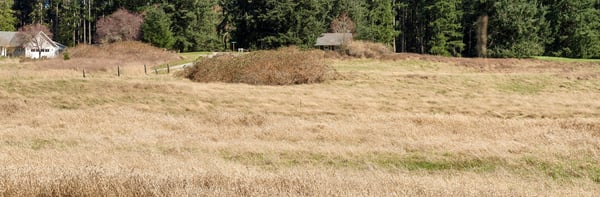 4320 Barbara Lane, Clinton, WA