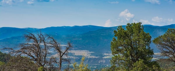 103 County Road, Lot 13, Carbondale, CO