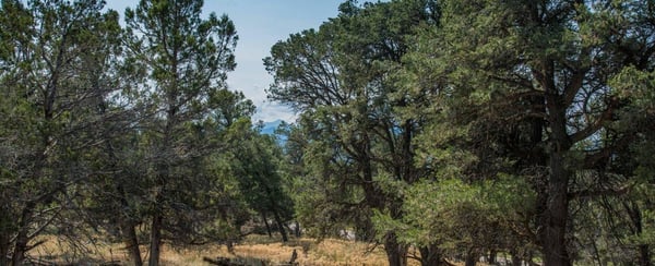 103 County Road, Lot 13, Carbondale, CO