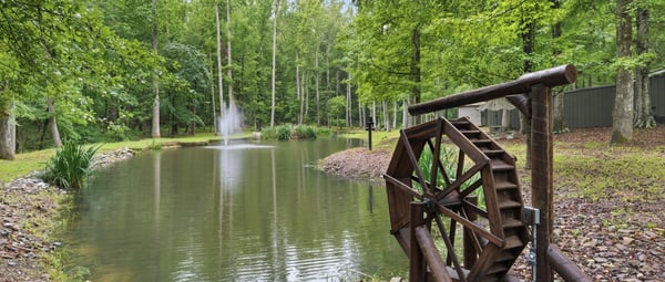 Beautiful pond area