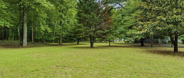 Spacious, open lot surrounded by mature trees, perfect for building your dream home in a peaceful setting.