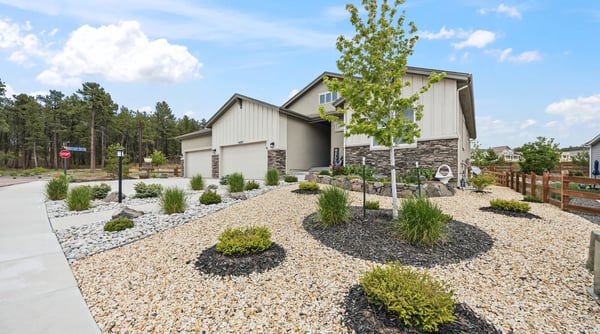 16297 Forest Cloud Way, Monument, CO