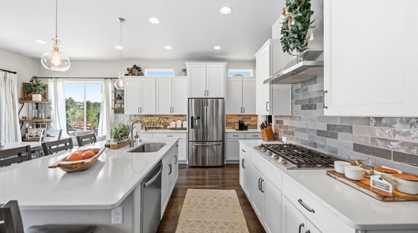 16297 Forest Cloud Way, Monument, CO