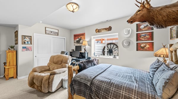 16297 Forest Cloud Way, Monument, CO