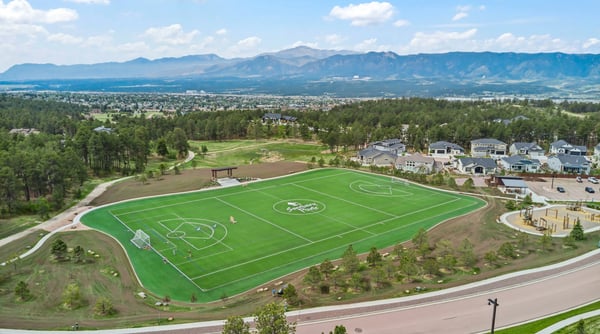 16297 Forest Cloud Way, Monument, CO