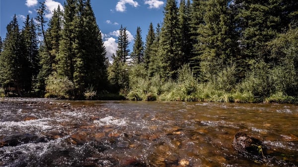 108 Ginger Quill Lane, Breckenridge, CO