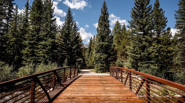 108 Ginger Quill Lane, Breckenridge, CO