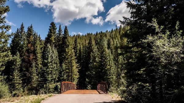 108 Ginger Quill Lane, Breckenridge, CO