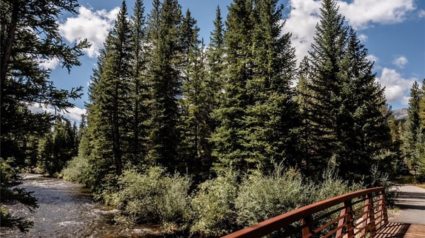 108 Ginger Quill Lane, Breckenridge, CO