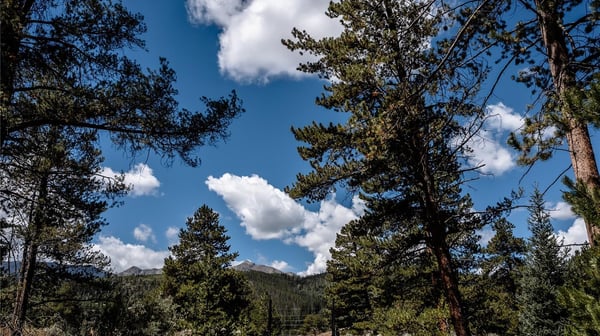 108 Ginger Quill Lane, Breckenridge, CO