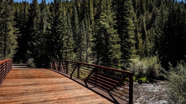 108 Ginger Quill Lane, Breckenridge, CO