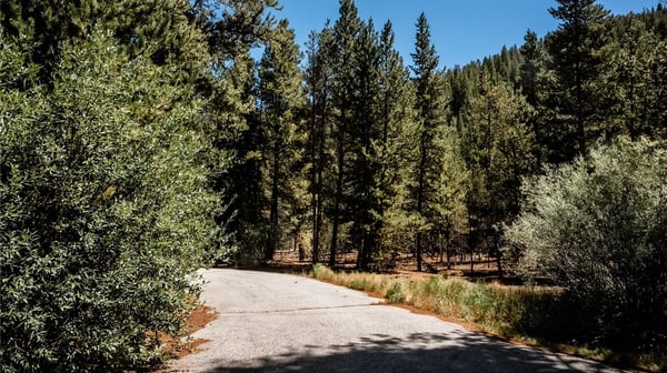 108 Ginger Quill Lane, Breckenridge, CO