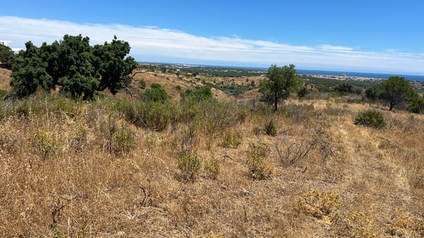 Monte Nicklaus / Monte Rei Golf, Vila Nova de Cacela, Faro