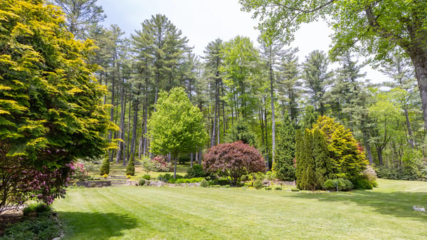 Spacious landscaped yard surrounded by vibrant trees, offering a peaceful retreat in nature's embrace.