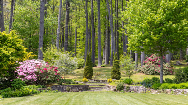 Discover a lush, vibrant landscape featuring stunning flowers, mature trees, and beautifully manicured pathways.