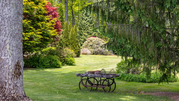 Lush greenery surrounds a quaint outdoor space, featuring unique landscaping and a rustic table for gatherings.