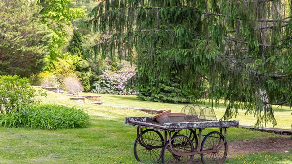 Discover a tranquil outdoor space featuring a vintage cart surrounded by lush greenery and vibrant landscaping.