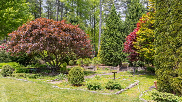 Discover a vibrant garden oasis featuring lush greenery and diverse plant life, perfect for outdoor retreats.