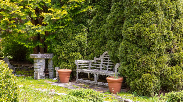 Nestled among tall greenery, this private garden feature includes a quaint stone bench and decorative pots.