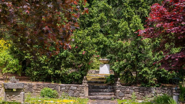 Discover a tranquil pathway surrounded by vibrant trees and lush greenery, perfect for nature lovers.