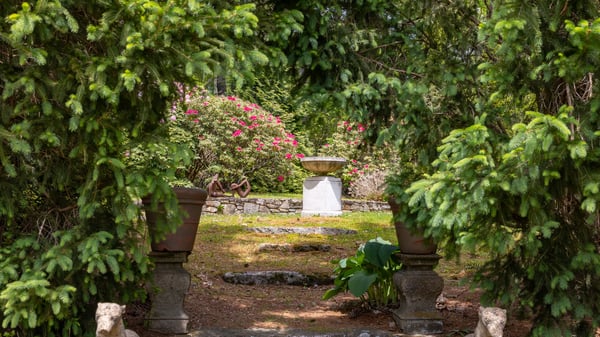 Discover a tranquil garden oasis, featuring lush greenery and a picturesque stone pathway leading to a fountain.
