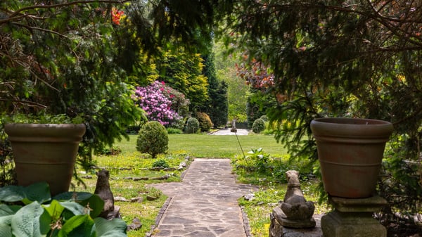 Discover a picturesque garden pathway leading to vibrant blooms and inviting greenery in this tranquil outdoor space.