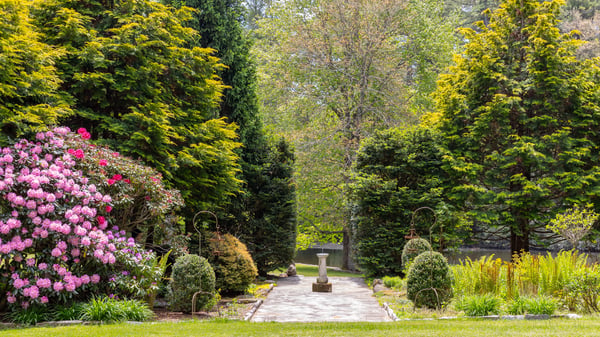Discover a lush garden pathway framed by vibrant flowers and towering trees, perfect for outdoor relaxation.