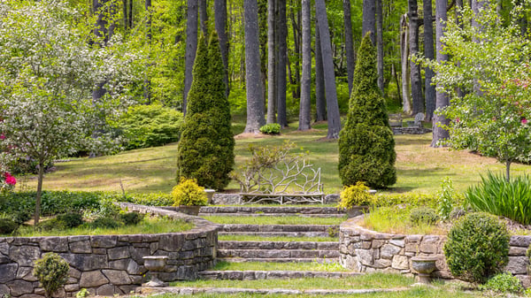 Lush greenery surrounds a beautifully landscaped garden with stone steps, inviting tranquility and nature's beauty.