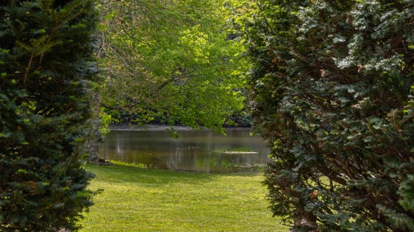 Discover a tranquil pond view framed by lush greenery, perfect for relaxation and outdoor enjoyment.