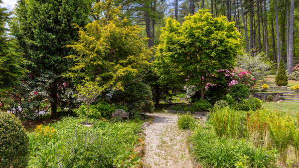 Discover a vibrant garden retreat, featuring lush greenery and diverse plant life, perfect for relaxation.