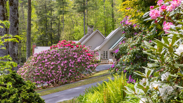 Nestled among vibrant blooms, this home offers a peaceful retreat surrounded by lush greenery and natural beauty.