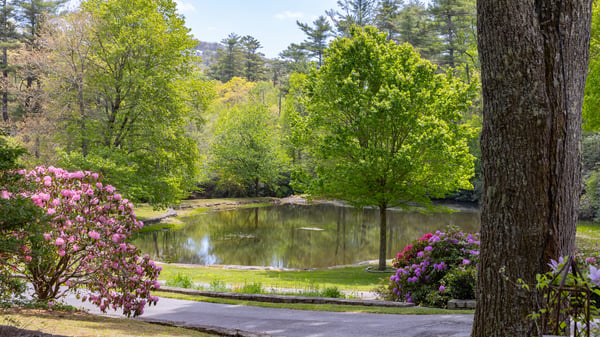 Discover a tranquil retreat with scenic pond views surrounded by lush greenery and vibrant flowering shrubs.