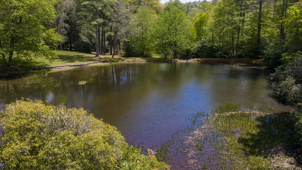 Discover a tranquil retreat with a private pond surrounded by lush greenery and mature trees.