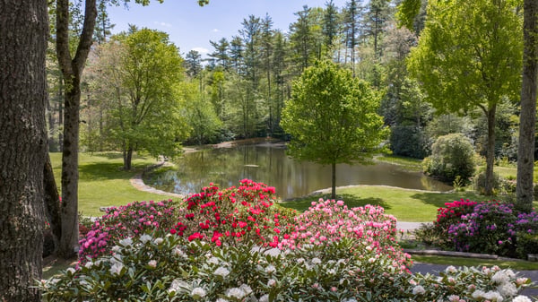 Tranquil retreat featuring vibrant gardens and a peaceful pond, ideal for nature lovers and relaxation.