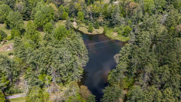 Discover this picturesque property featuring a tranquil pond surrounded by lush greenery and mature trees.