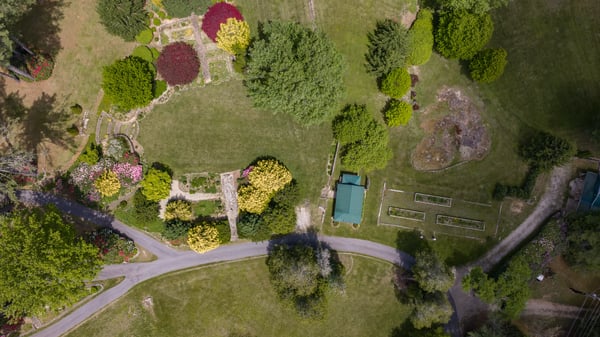 Expansive property with diverse landscaping, mature trees, and potential for gardening or outdoor activities.