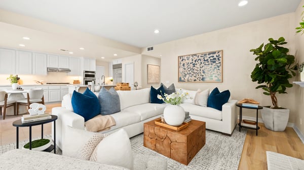 16 Charity, Irvine, CA