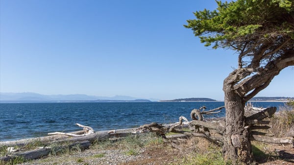 1240 Admirals Drive, Coupeville, WA