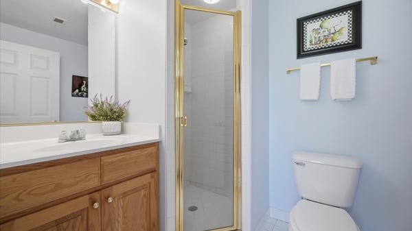 Lower Level Basement Full Bath